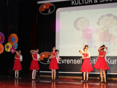 Evrensel Kolej